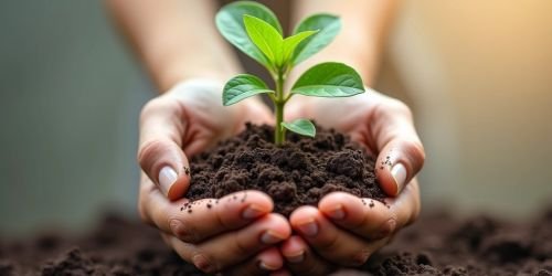 ISO 14001 Zertifizierung EUROCERT EQC