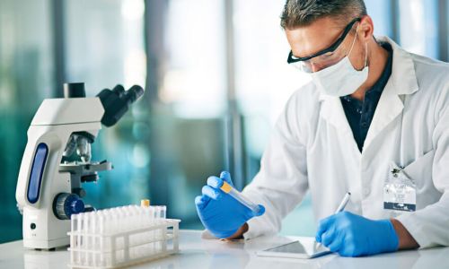Halal Analysen und Tests